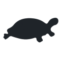 Black Turtle