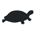 Black Turtle